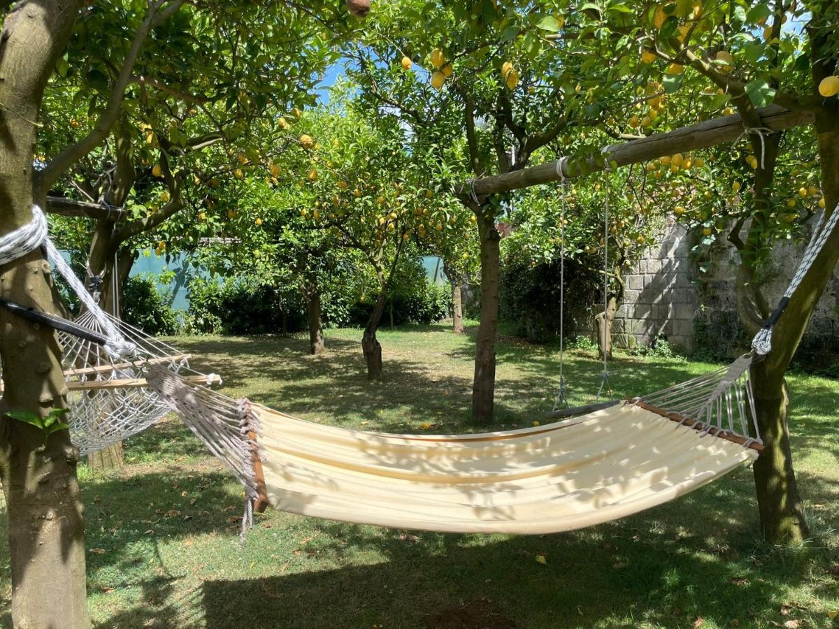 Casa Sorrento, Immerso Nel Verde A Pochi Passi Dal Centro Buitenkant foto