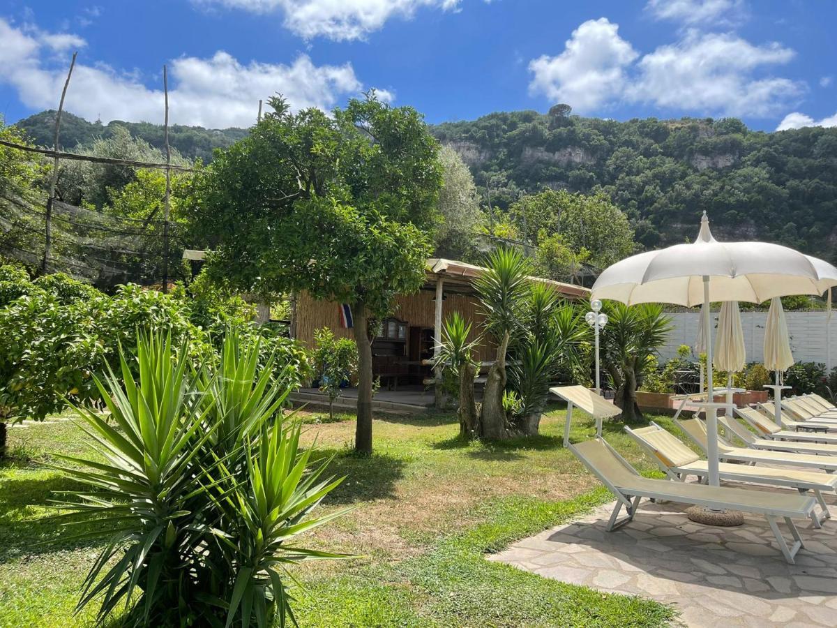 Casa Sorrento, Immerso Nel Verde A Pochi Passi Dal Centro Buitenkant foto